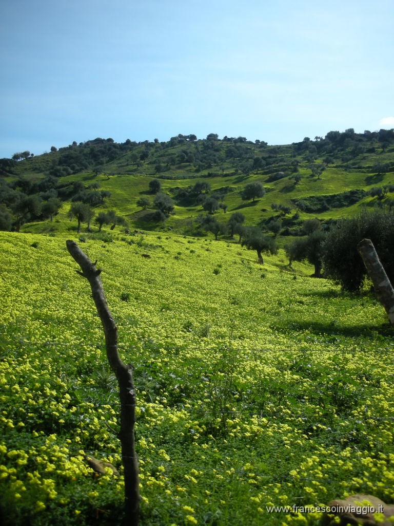 25.02.07 Castel di Lucio 008.JPG